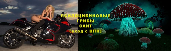 трава Балахна
