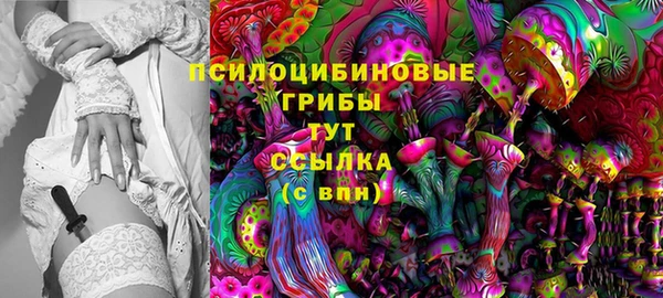 трава Балахна