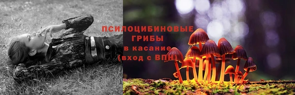 трава Балахна
