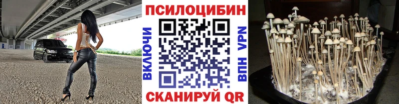Галлюциногенные грибы Cubensis Зима