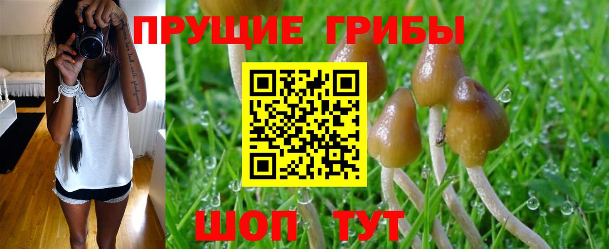 Псилоцибиновые грибы ЛСД Зима