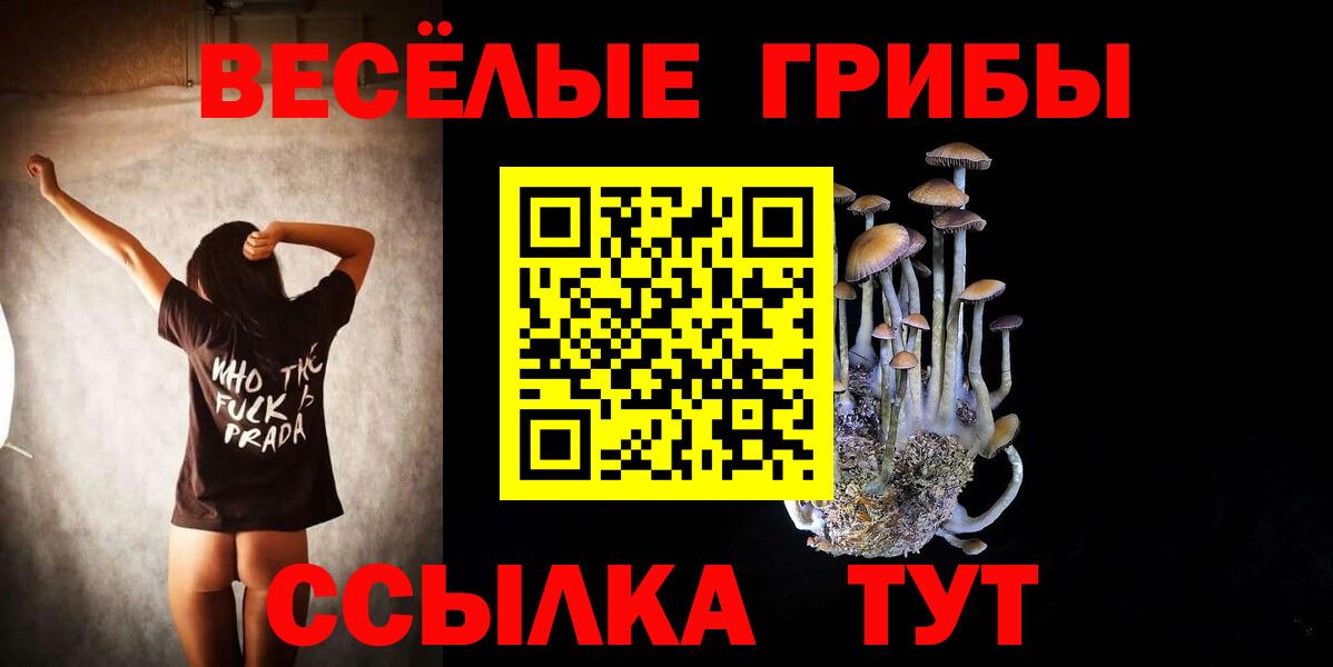 Зима  Псилоцибиновые грибы Cubensis  Вход с VPN 