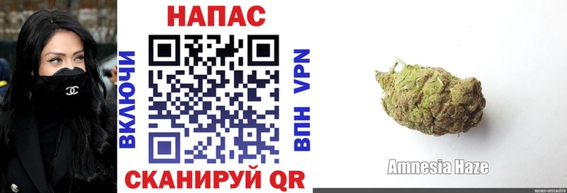 Канабис план Зима
